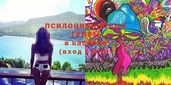 шишки Абинск