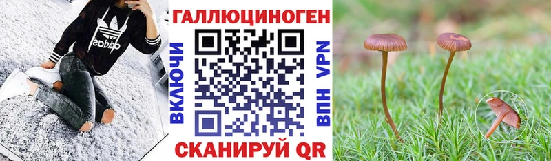 Галлюциногенные грибы Cubensis  Бавлы 